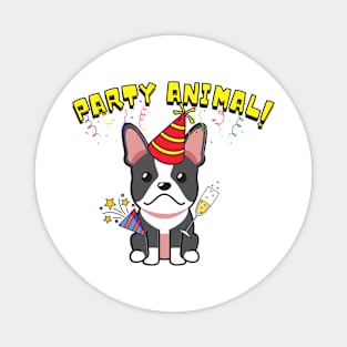 Party Animal French Bulldog Magnet